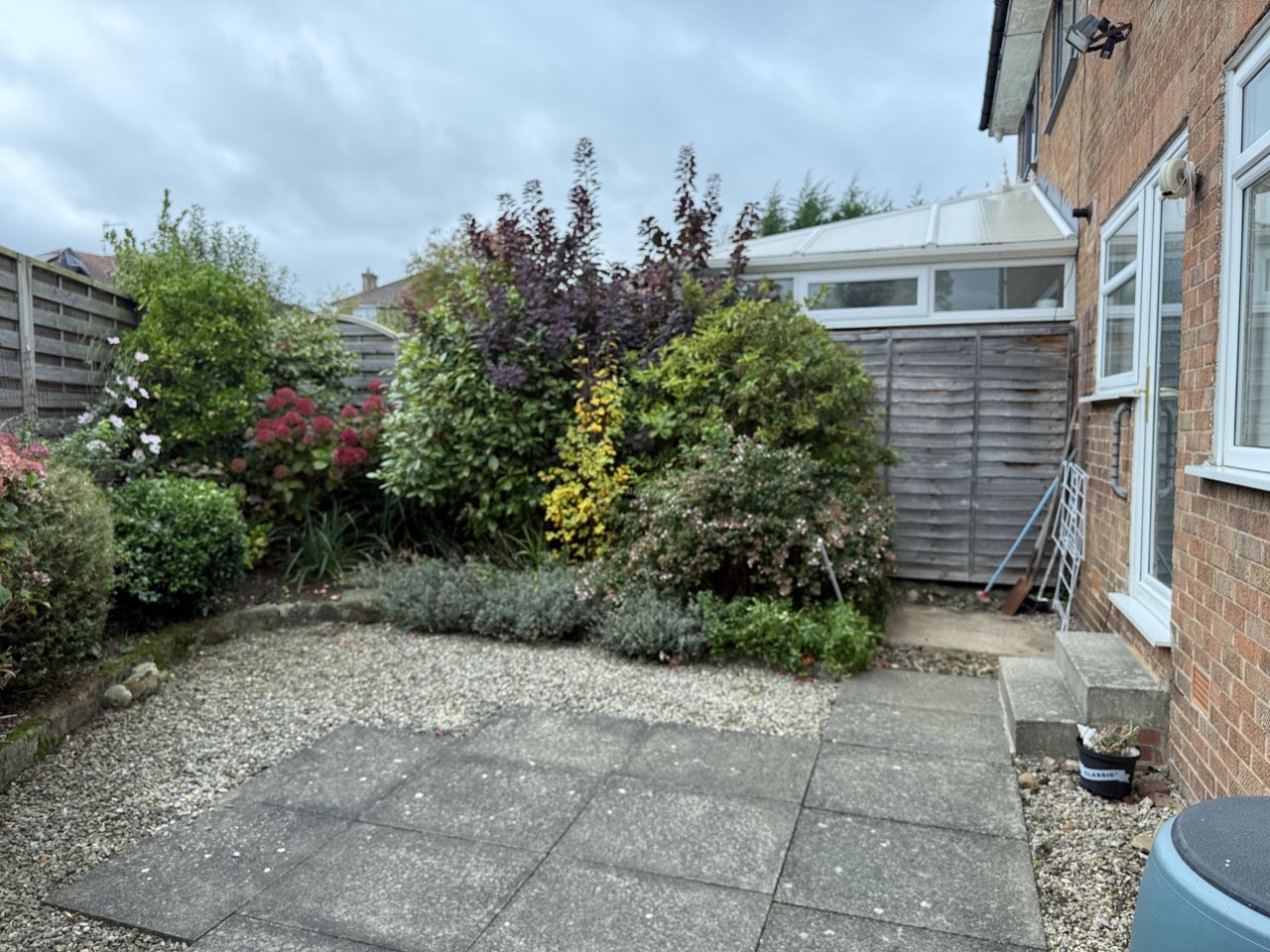 Maintained garden borders and planting around a paved patio.