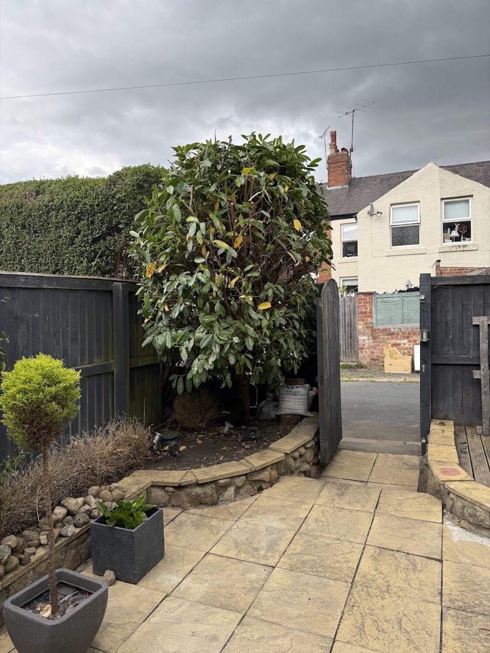 Pruned shrubs and tidy planters on a clean paved patio.